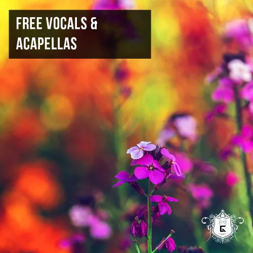 Free Vocals and Acapellas
